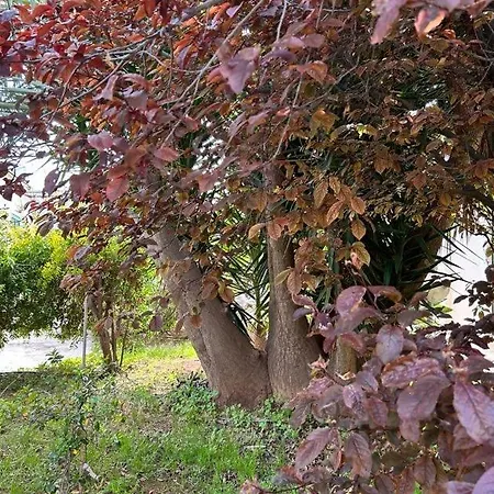 Giardino A Mare *