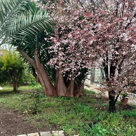 Giardino A Mare * Bari